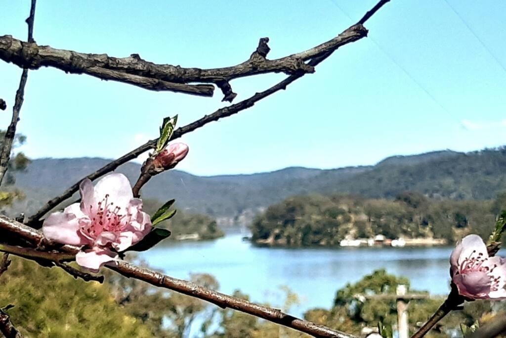 Seafarers Landing Bar Point Nsw 빌라 외부 사진